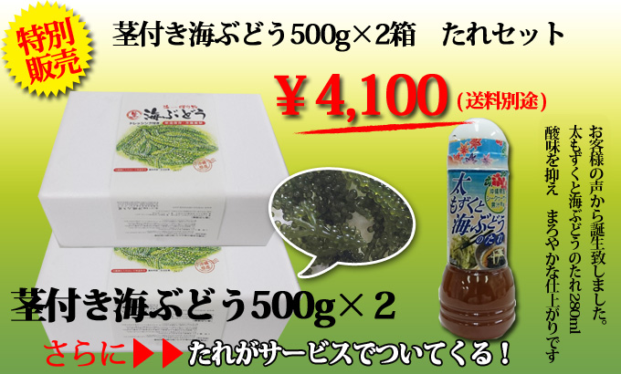 茎付きタレセット